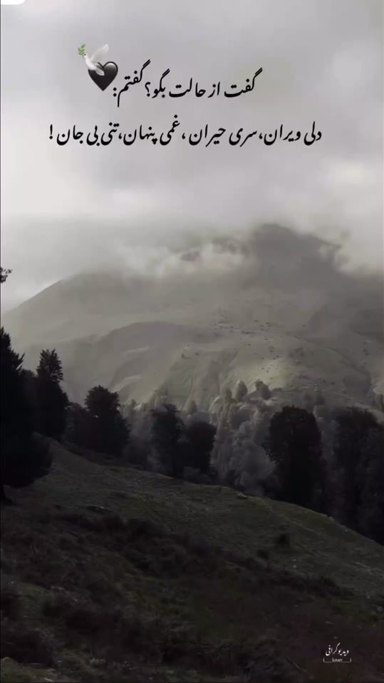 TikTok video thumbnail by ali.sina.ahmadi6