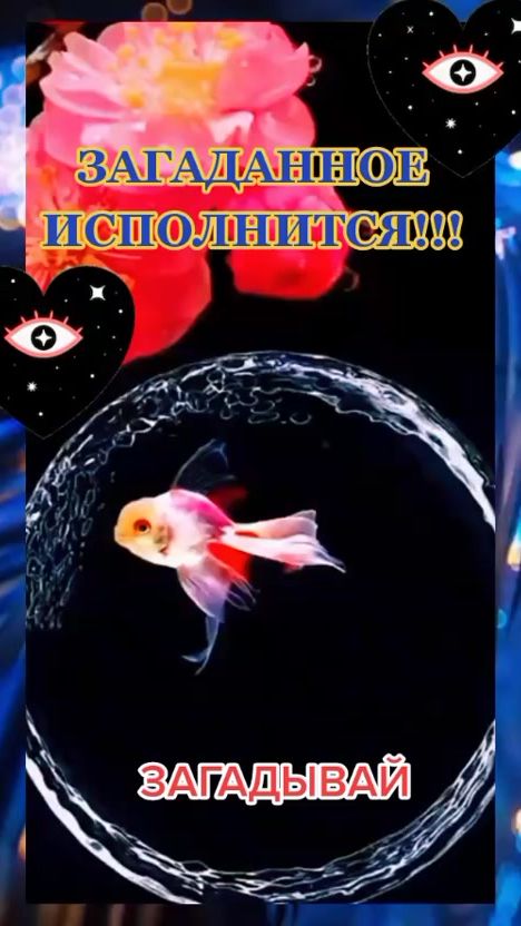 TikTok video thumbnail by larissapoltavets