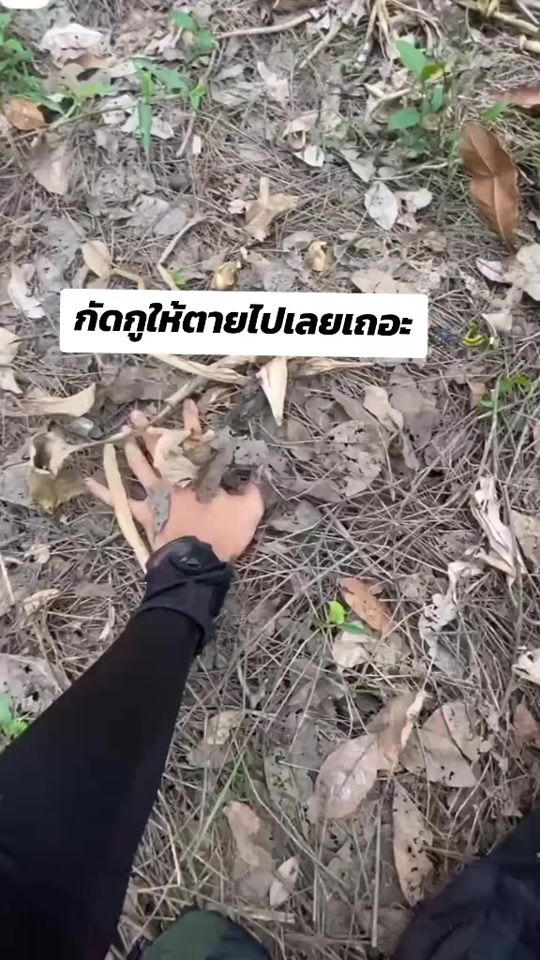 TikTok video thumbnail by clip_108