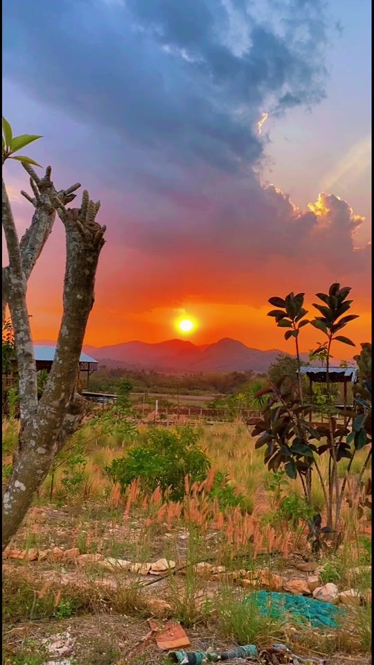 TikTok video thumbnail by phutawan_farm