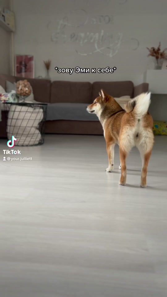 TikTok video thumbnail by your.julliett