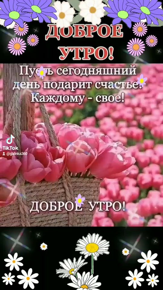 TikTok video thumbnail by galinka360