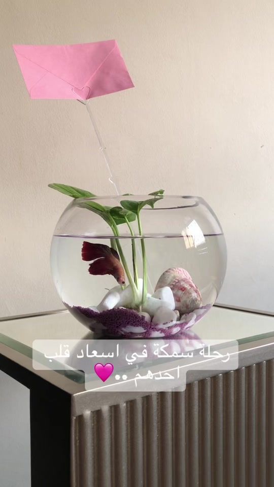 TikTok video thumbnail by 0o0sh