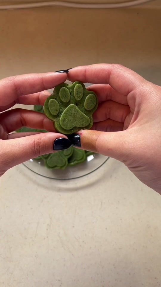 TikTok video thumbnail by ophir_dogtrainer