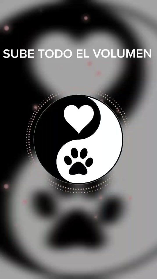 TikTok video thumbnail by mianayeli08