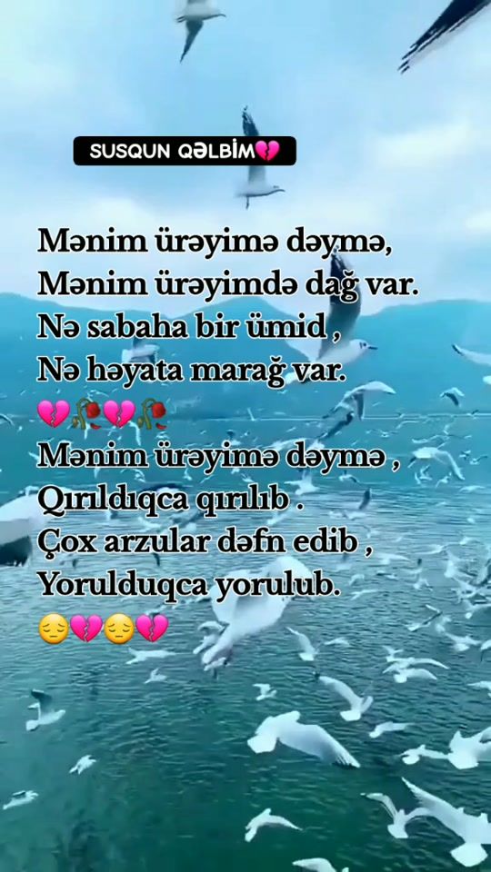 TikTok video thumbnail by susqun_qelbim2404