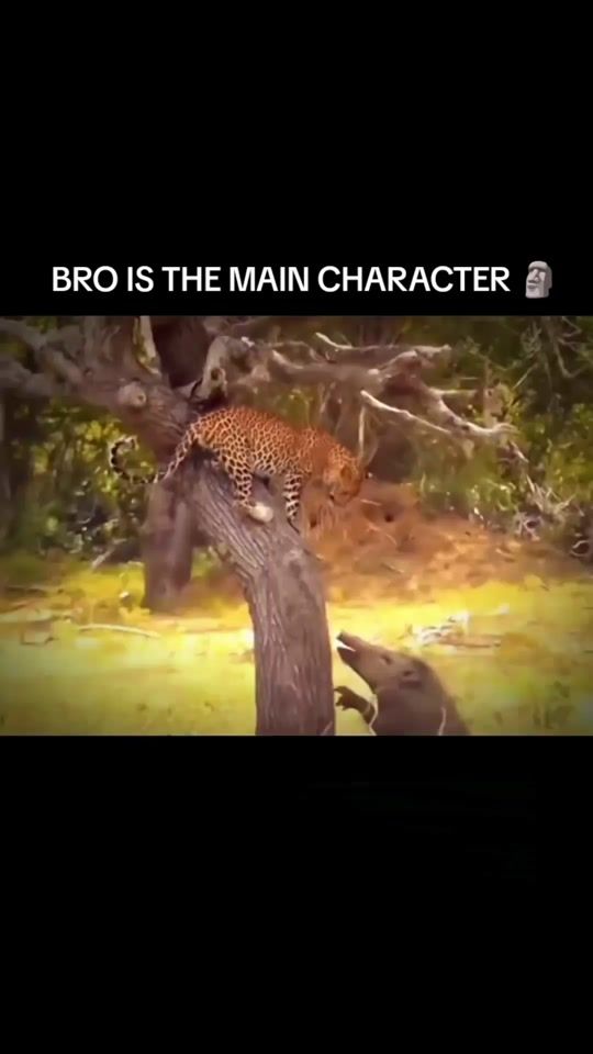 TikTok video thumbnail by unknowns_1000