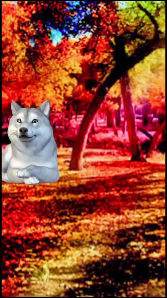 TikTok video thumbnail by ashling99