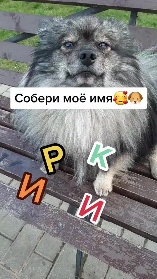 TikTok video thumbnail by spitz.rik