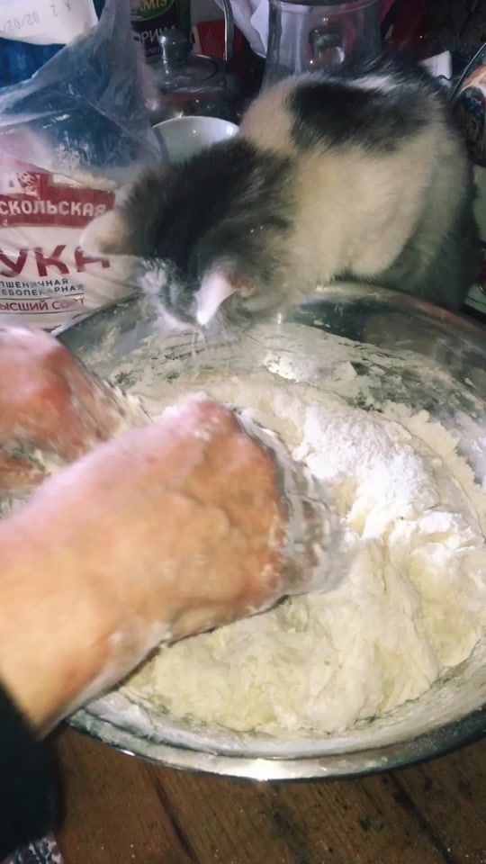 TikTok video thumbnail by huskyfermaliliant