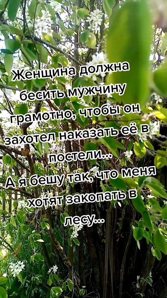 TikTok video thumbnail by nadin_197711