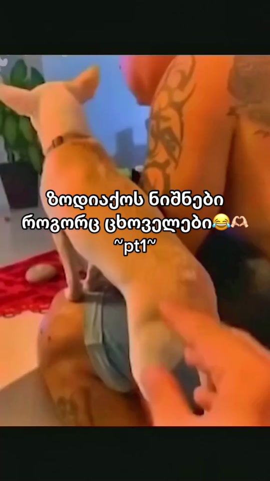 TikTok video thumbnail by godhube