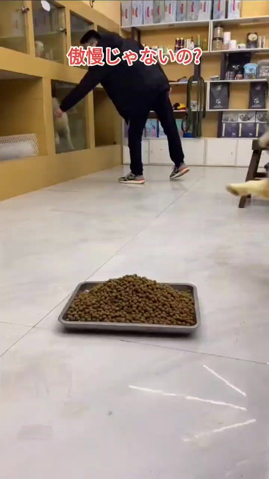 TikTok video thumbnail by wsj1180