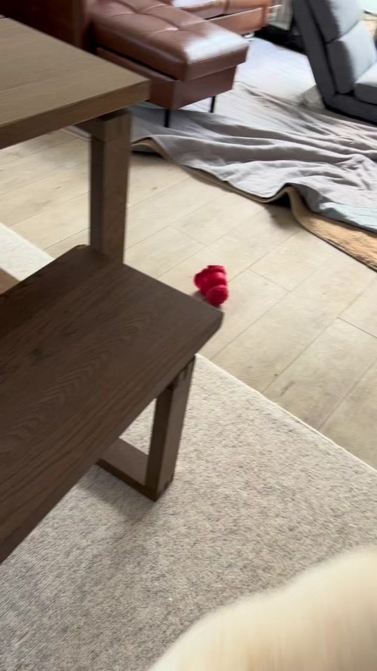 TikTok video thumbnail by chamame25