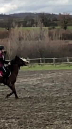 TikTok video thumbnail by _.passion_equitation._