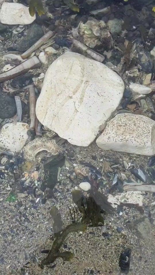 TikTok video thumbnail by amyonair