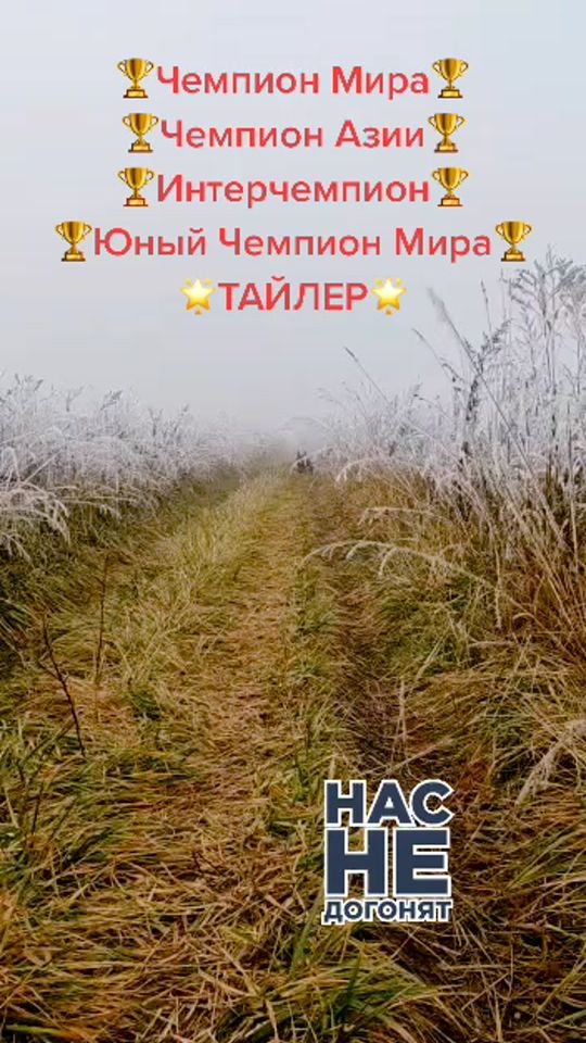 TikTok video thumbnail by belka1315