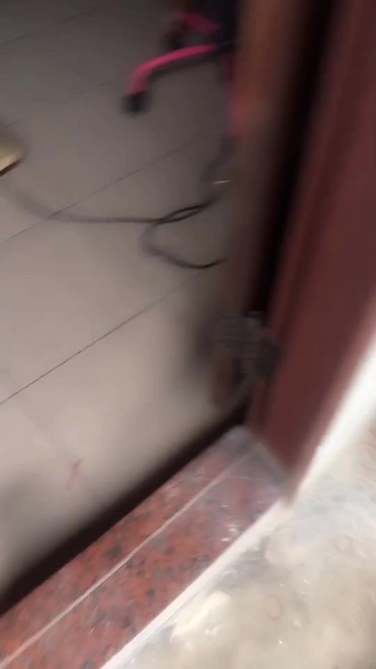 TikTok video thumbnail by 2144413527