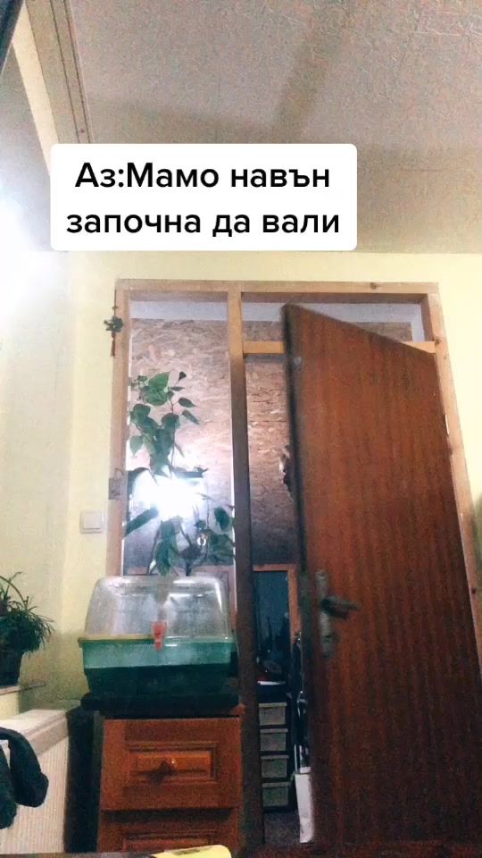 TikTok video thumbnail by lusidimitrow