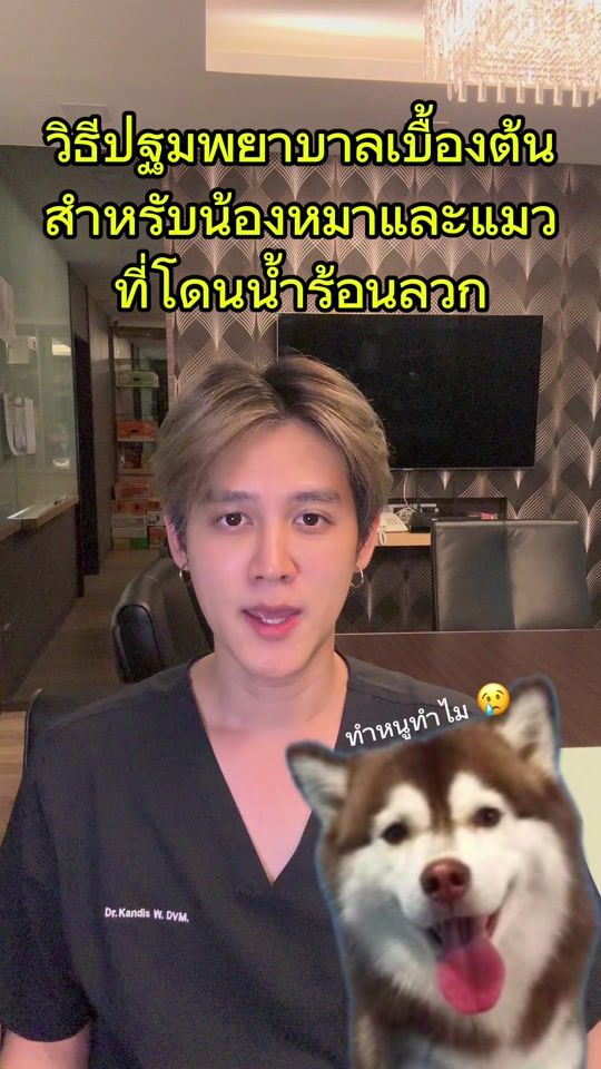 TikTok video thumbnail by kandismaiake