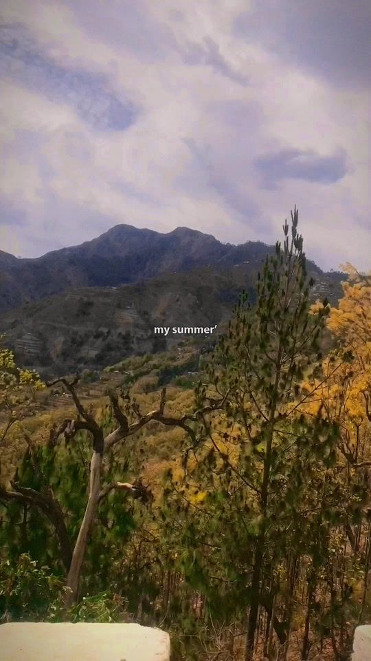 TikTok video thumbnail by asdtr61