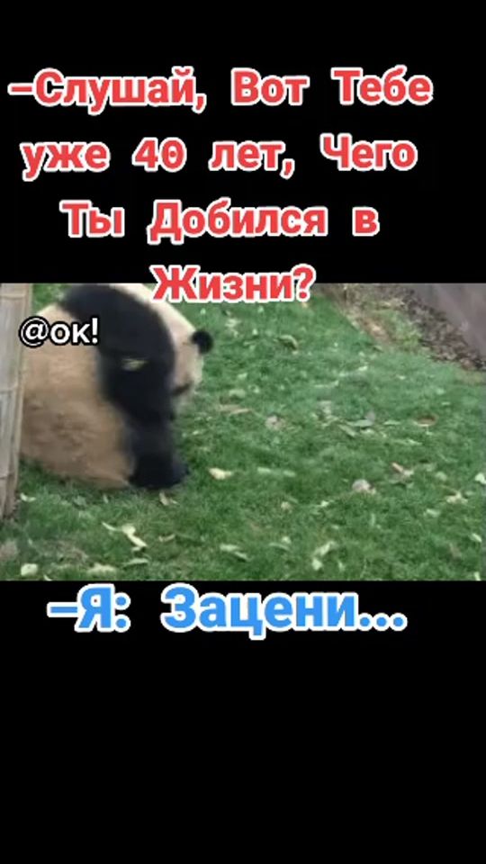 TikTok video thumbnail by bogachan78