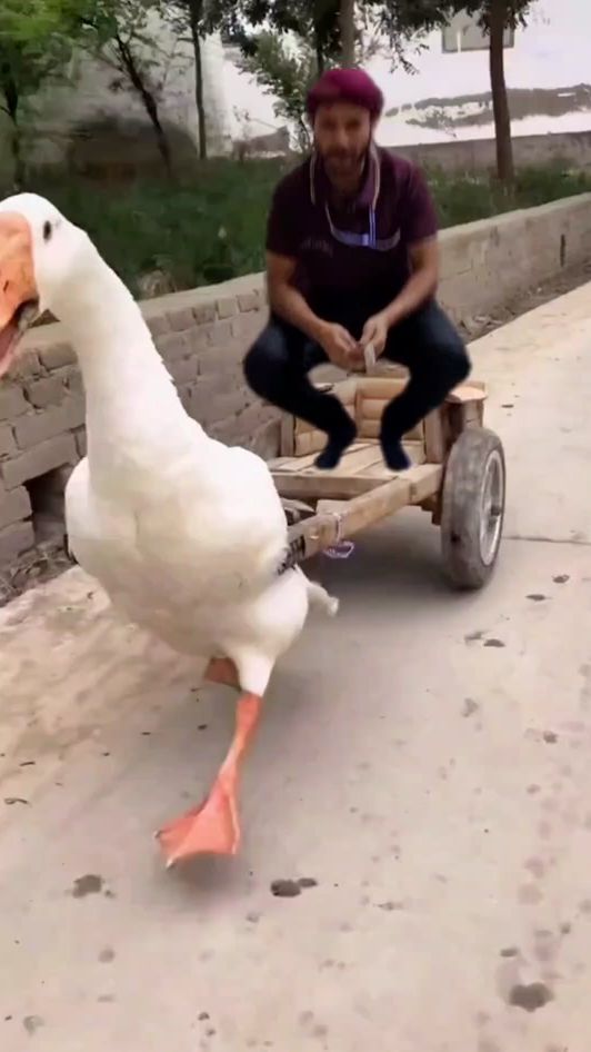 TikTok video thumbnail by aborakadaborakad
