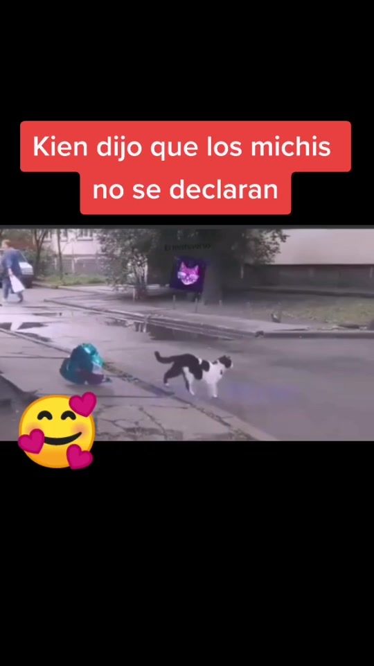 TikTok video thumbnail by khalan_lanusse