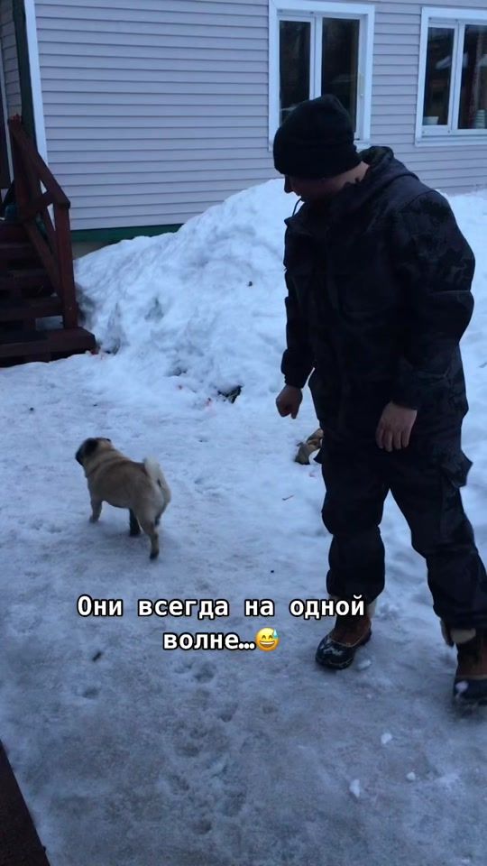 TikTok video thumbnail by irinkamirinka