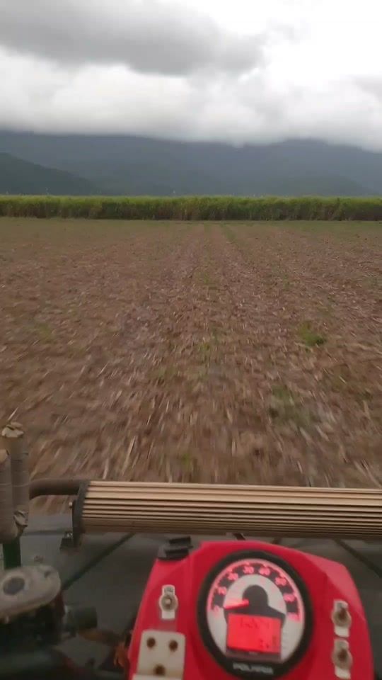 TikTok video thumbnail by marchiefnq