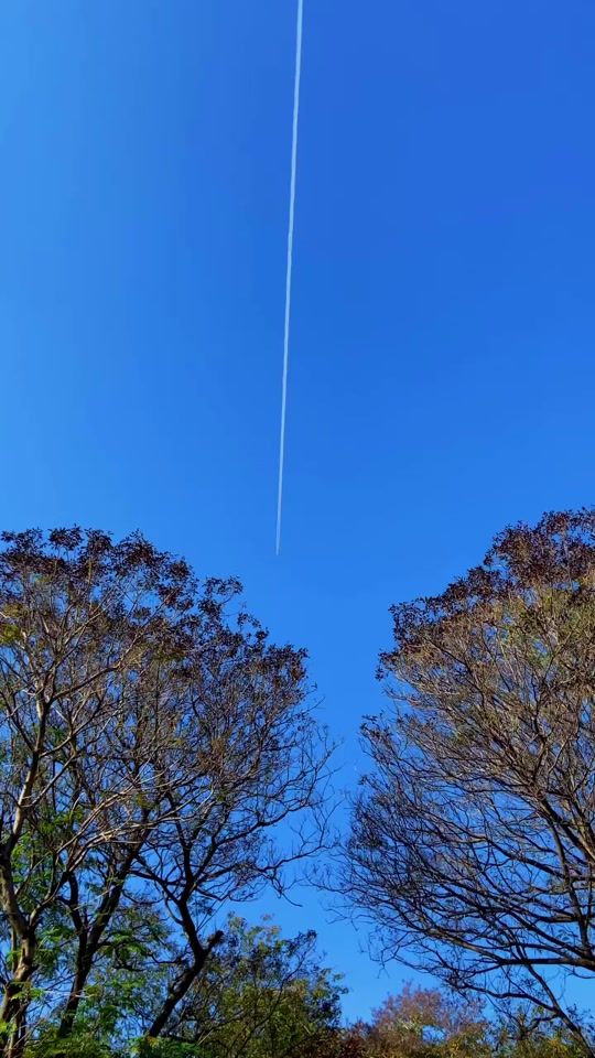 TikTok video thumbnail by chill_guy_karan