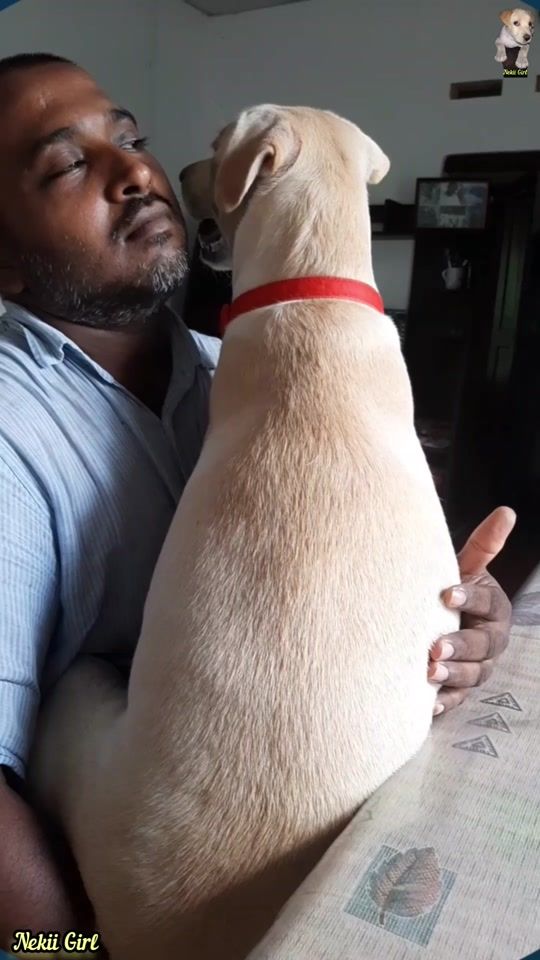 TikTok video thumbnail by nekiigirl