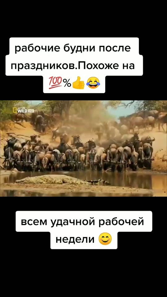 TikTok video thumbnail by albina78zsf0ff