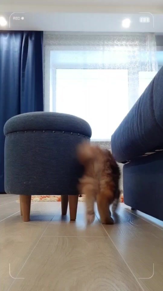 TikTok video thumbnail by simbasik4