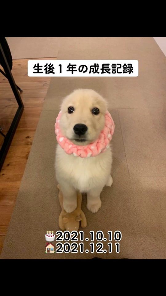TikTok video thumbnail by ema_channel