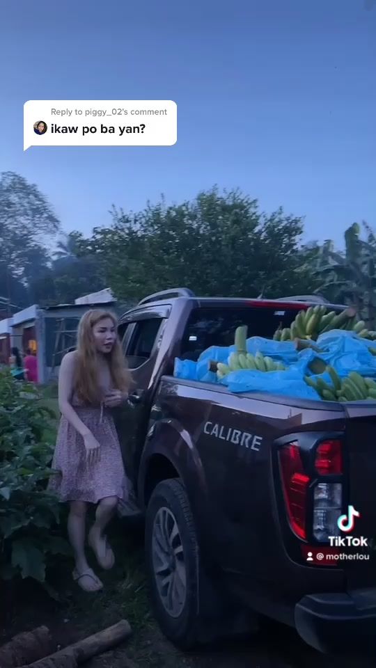 TikTok video thumbnail by motherlou