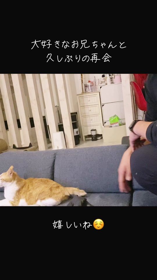 TikTok video thumbnail by ...haru...m