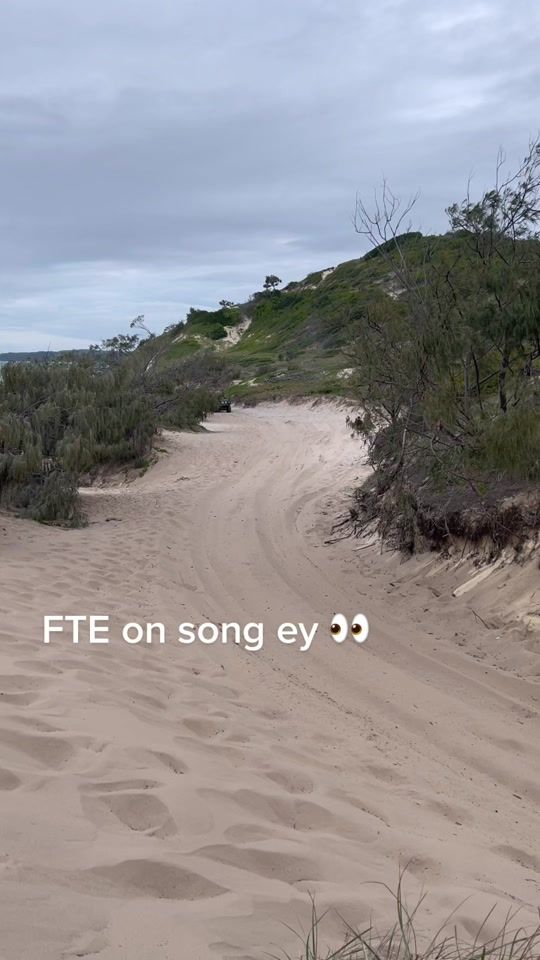 TikTok video thumbnail by wisey_gu
