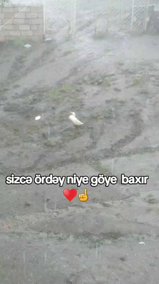 TikTok video thumbnail by _recebov_043