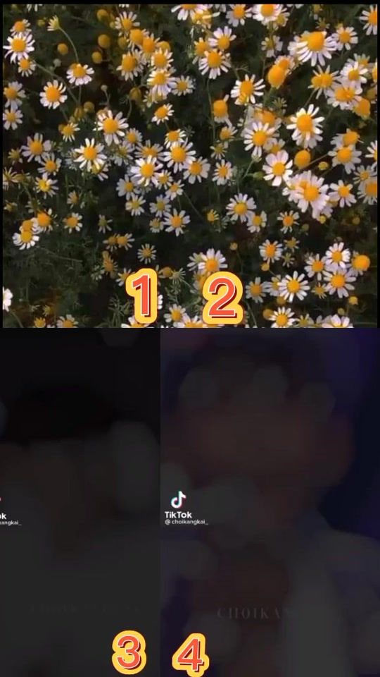 TikTok video thumbnail by chimxyg