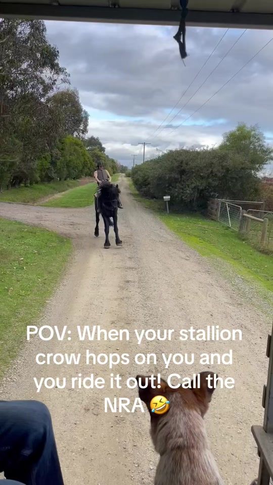 TikTok video thumbnail by its.just.james2.0