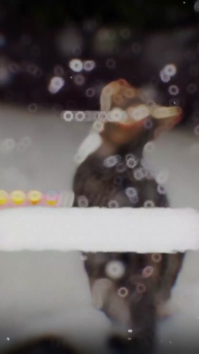 TikTok video thumbnail by zeesho_army