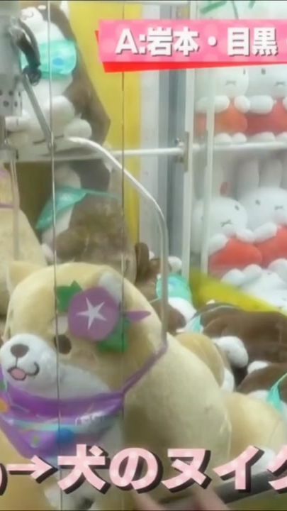 TikTok video thumbnail by chii_chiku