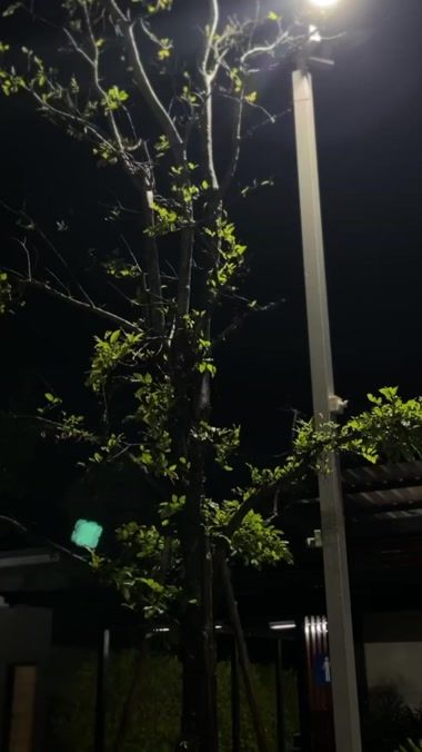 TikTok video thumbnail by _thisisphone