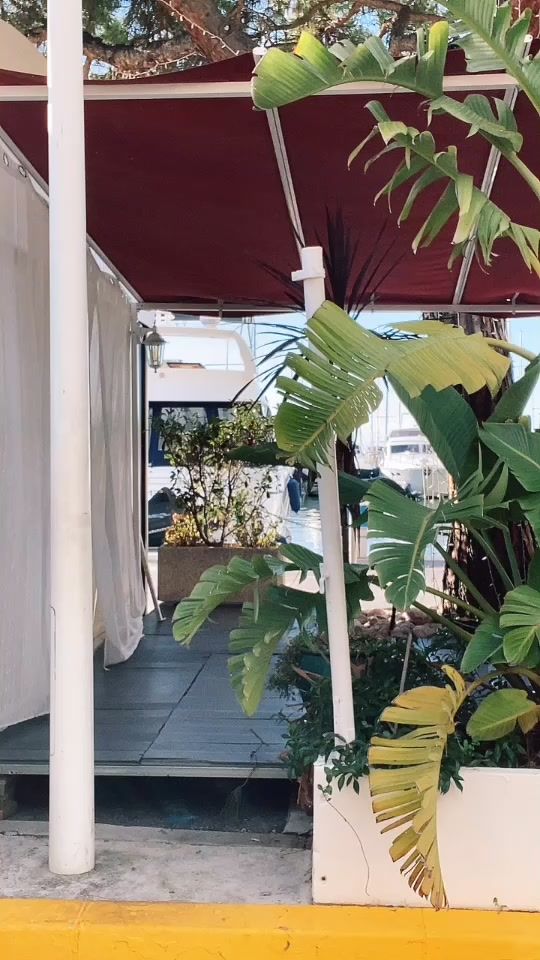 TikTok video thumbnail by mariarebeccasirianni