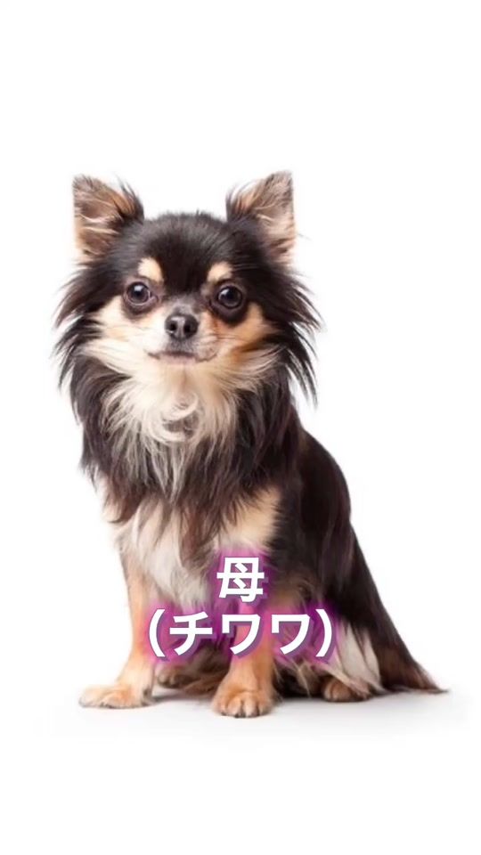 TikTok video thumbnail by kougrm