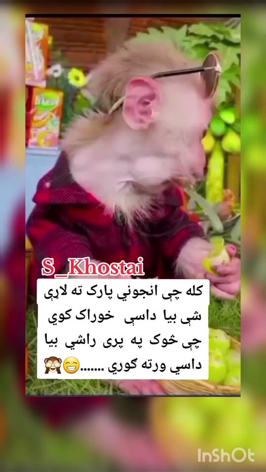 TikTok video thumbnail by shokhkhostai