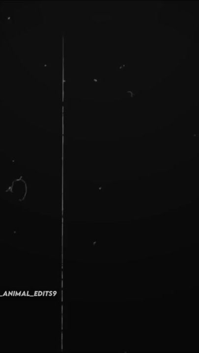 TikTok video thumbnail by video_animal_edits9