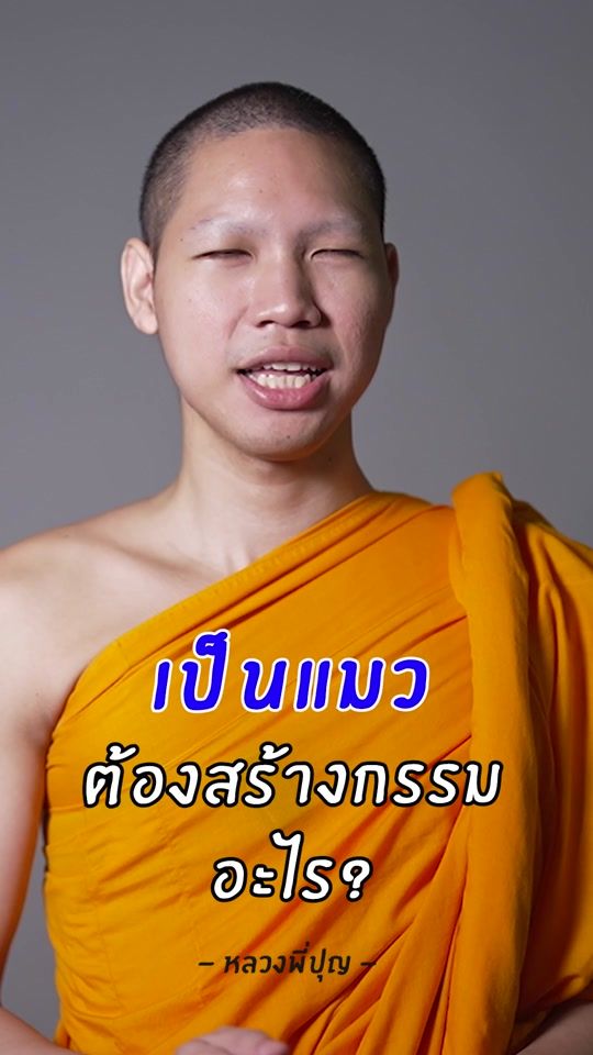 TikTok video thumbnail by phrapun
