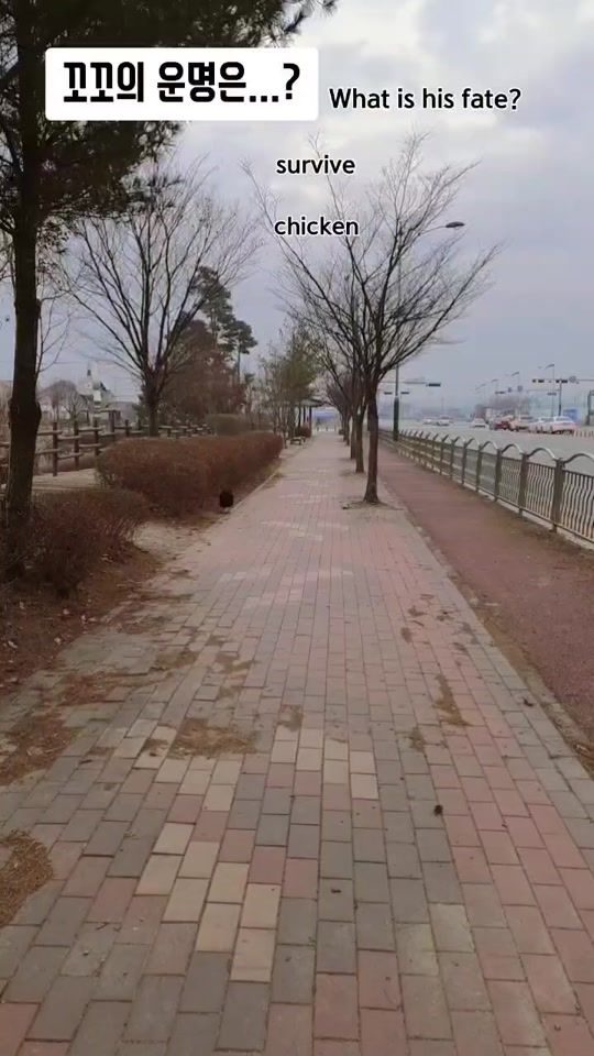 TikTok video thumbnail by soon_moya
